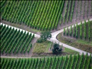 géométrie viticole / vineyards geometry